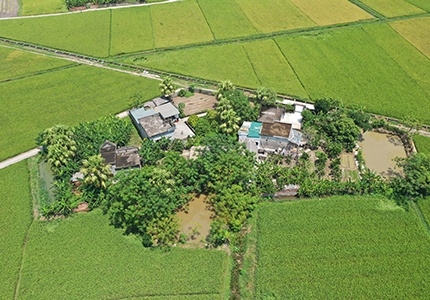 LĨNH VỰC HOẠT ĐỘNG ĐẦU TƯ NÔNG NGHIỆP VÀ KỸ THUẬT CAO